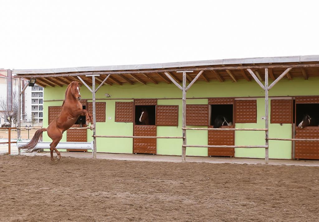 Afyon Can Termal Apart Afyonkarahisar Екстер'єр фото