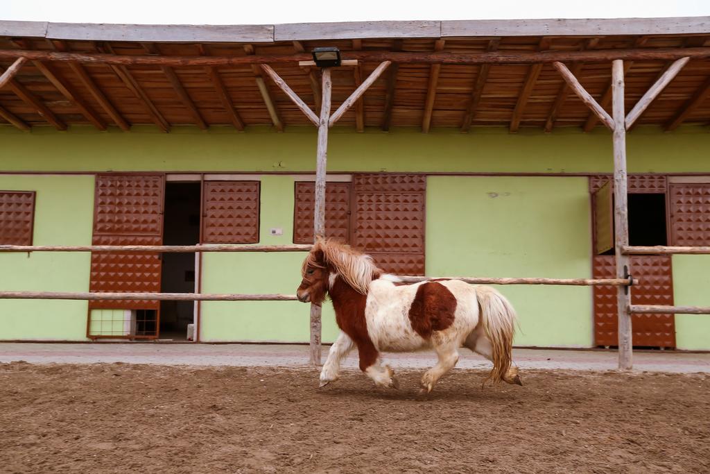 Afyon Can Termal Apart Afyonkarahisar Екстер'єр фото